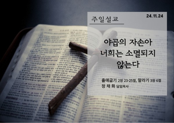b3c4bdea11df5a169abe58596d44093e_1732486147_7359.jpg